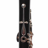 Close-up of clarinet keywork and tone hole showing silver-colored hardware. card
