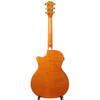 Full rear view showing figured wood back, natural neck, and single-cutaway body. card