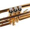 Angled close-up of three trumpet piston valves, finger buttons, and gold lacquer tubing. card