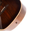 Alvarez AGW77CE Deluxe Acoustic/Electric Guitar w/AMAP1 Accessory Pack