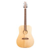 Riversong Tradition Canadian Series Dreadnought w/Poly Case B-Stock