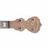 Deering Banjo Artisan Goodtime Two 5-String Banjo w/ Resonator card