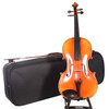 Scherl & Roth SR72 Professional 16" Viola (SR72E16H) card