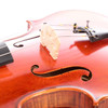 Scherl & Roth SR72 Professional 16" Viola (SR72E16H) card