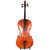 Scherl & Roth SR55 Galliard Student Cello - 4/4 Scherl & Roth SR55 Galliard Student Cello - 4/4