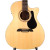 Alvarez RG26CE-Deluxe Top