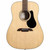 Alvarez Artist Series AD60 Dreadnought Acoustic Electric Alvarez Artist Series AD60 Dreadnought Acoustic Electric