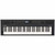 Roland GO:KEYS 5 Music Creation Keyboard - Graphite Roland GO:KEYS 5 Music Creation Keyboard - Graphite