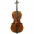 Maple Leaf Strings Chaconne Cello with Wittner Tailpiece Maple Leaf Strings Chaconne Cello with Wittner Tailpiece