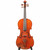 Eastman Galiano Series 3 Violin Outfit 4/4 USED Eastman Galiano Series 3 Violin Outfit 4/4 USED