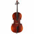 Eastman Upgraded 4/4 VC95 Cello Outfit with BC301 Bow & CC40 Case Used Eastman Upgraded 4/4 VC95 Cello Outfit with BC301 Bow & CC40 Case Used