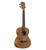Alvarez RU22T Regent Series Tenor Ukulele Front angle Alvarez RU22T Regent Series Tenor Ukulele Front angle