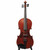 Stradivarious Style Violin with Bow & Case Used Stradivarious Style Violin with Bow & Case Used