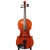 Eastman VL80 4/4 Violin Outfit Used