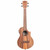 Full front view of the Kala KA-TK-T-CE tenor acoustic-electric ukulele with cutaway body and onboard preamp. Full front view of the Kala KA-TK-T-CE tenor acoustic-electric ukulele with cutaway body and onboard preamp.