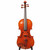 Eastman Giuseppe Galiano VL3GS 4/4 Violin Outfit Used  [Z1920217]