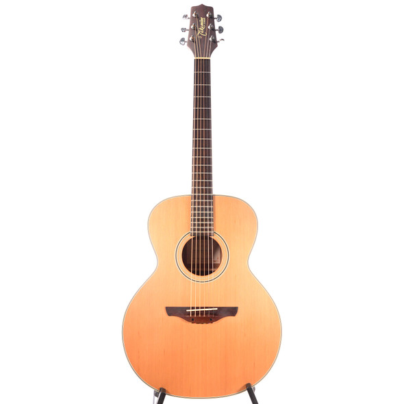 Takamine GS430S Acoustic Guitar w/GigBag USED