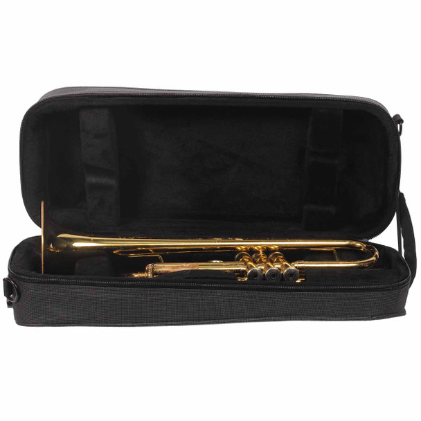 Conn Director Trumpet with Gator Case Used