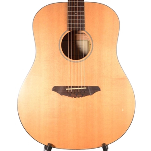 breedlove passport d200