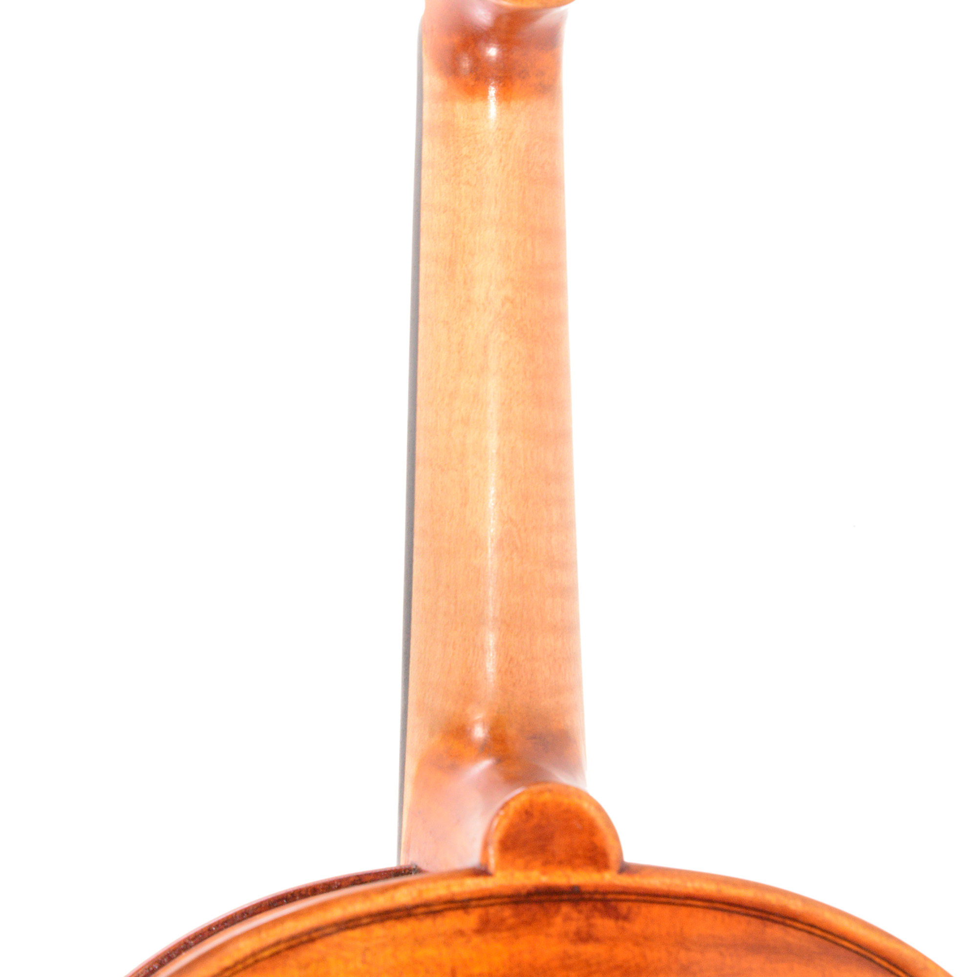Eastman Stringsバイオリン4/4 Eastman Strings Frederich Wyss Violin - Model 703 | Dolce