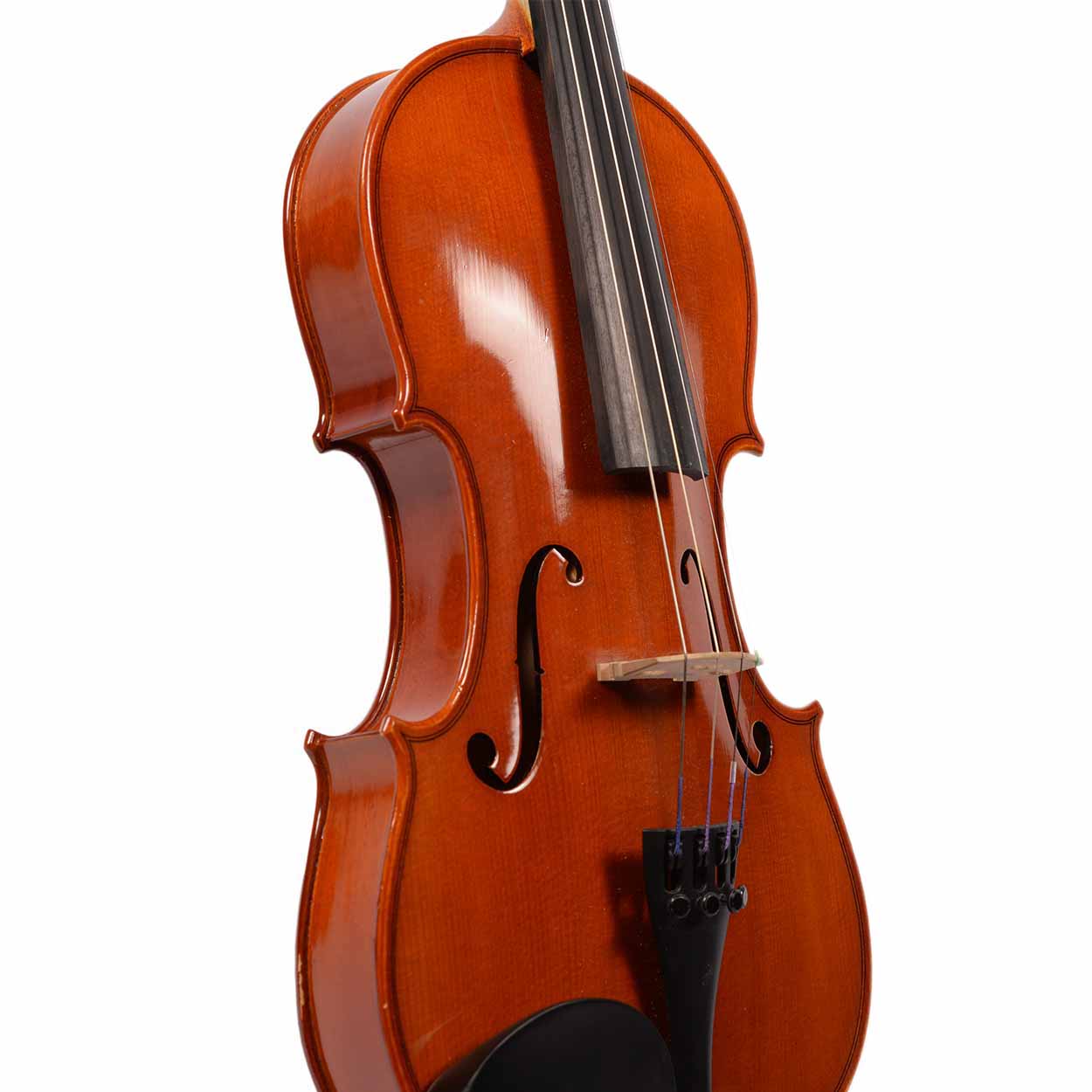 バイオリン Eastman VL80 4/4 Amazon | EASTMAN VL80ｾｯﾄ 4/4 バイオリンセット (イーストマン
