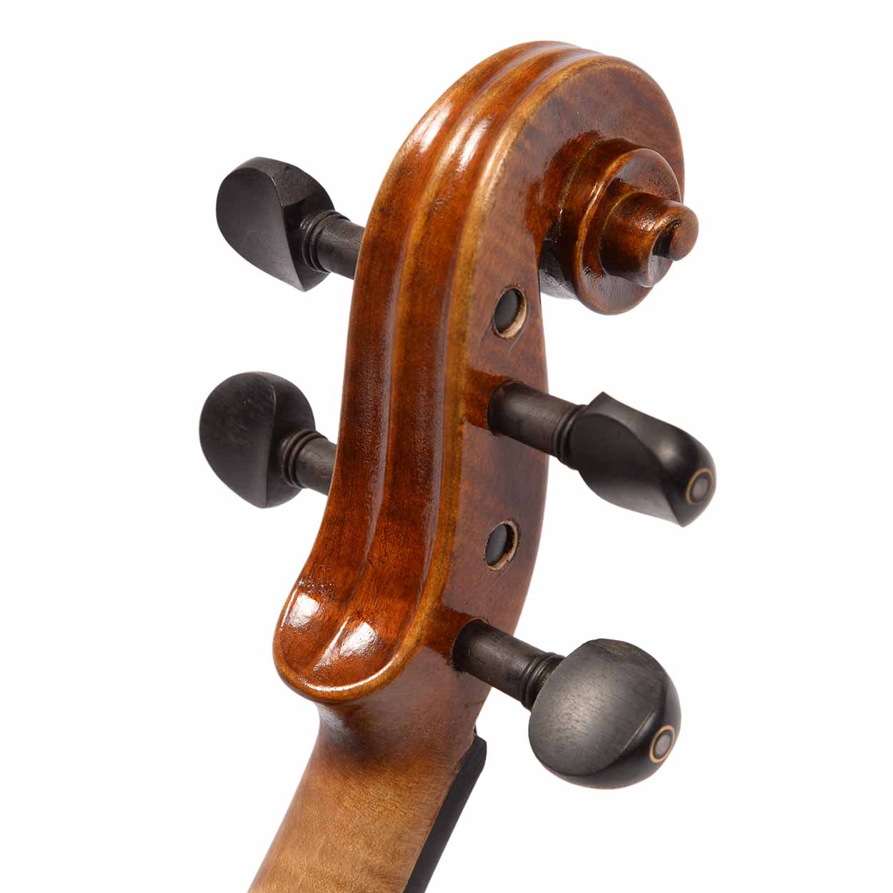 Maple Leaf Strings Noble Philip 4/4 Violin with Dominant String