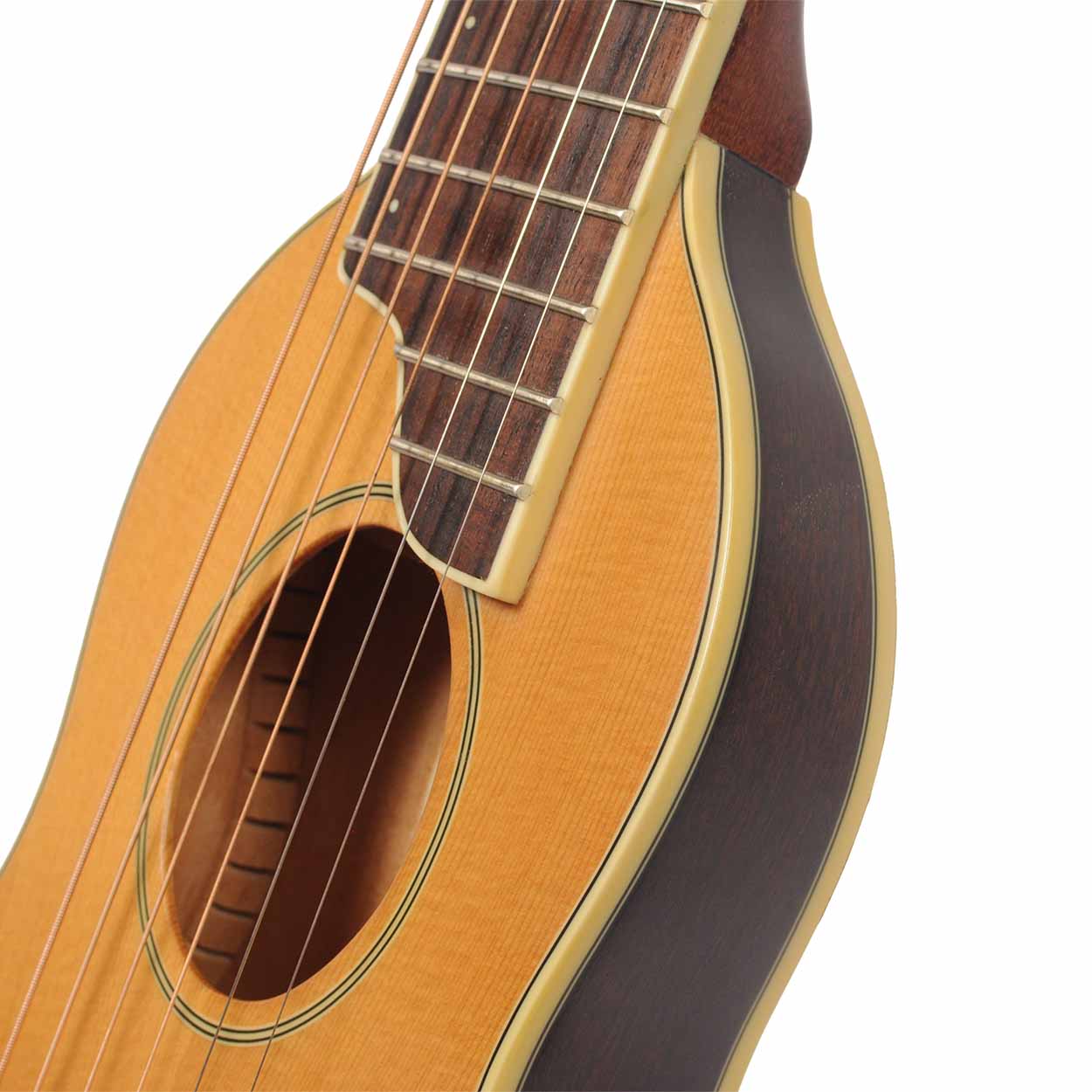 Washburn Rover RO10 Travel Acoustic Guitar & Case Used - The Music Den