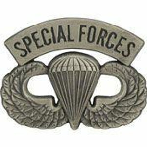 Eagle Emblems EE Pin - Wing Spec, Para/Jump P19159