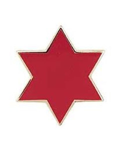 Eagle Emblems Pin - Army, 006TH Infantry Division - P15487