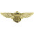 Eagle Embalms Pin - Wing-UNS/USMC, Aviator - P15238