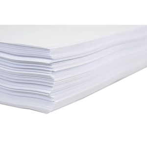 Paper - 13x19 (Super-B) - 11x17