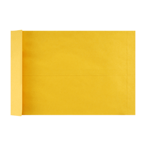 11x17 Brown Kraft Paper Envelopes 12.5 x 18.5, Ungummed, Pack of 10