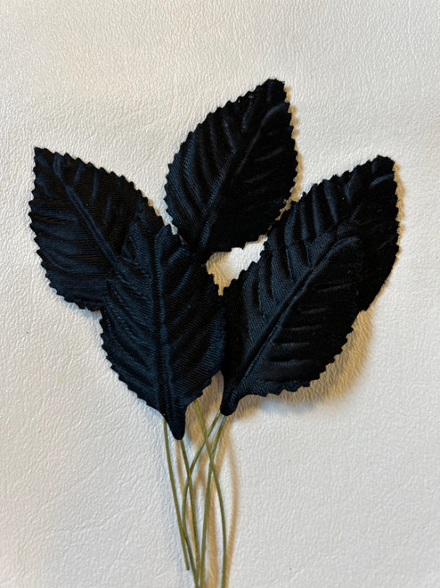 Black leaves