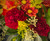 Bright Fall Mix