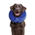 E-Collar Cloud