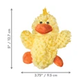 Dr. Noyz Duck