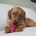 Easy Treat Peanut Butter