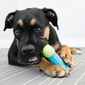 CoreStrength Bone