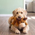 Cozie Marvin Moose