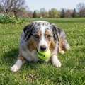 SqueakAir Balls Medium, 6 Pack