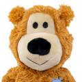 Wild Knots Bear, Assorted Colors