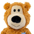 Wild Knots Bear, Assorted Colors