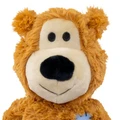 Wild Knots Bear, Assorted Colors