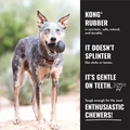 KONG Extreme Goodie Bone