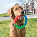 Twistz Ring