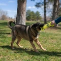 Jumbler Tug