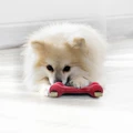 KONG Goodie Bone