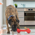 KONG Goodie Bone