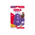Purple bone-shaped dog toy with rope through the ends.  Shown in its retail packaging.