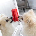 Licks